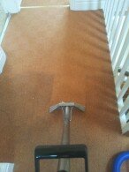 carpet cleaning liverpool